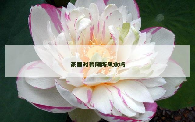 家里对着厕所风水吗