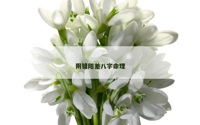 阴错阳差八字命理