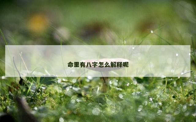 命里有八字怎么解释呢