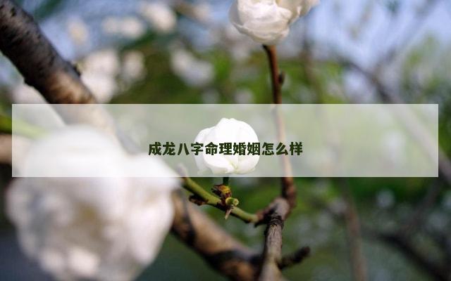 成龙八字命理婚姻怎么样
