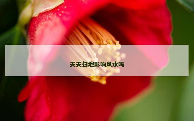 天天扫地影响风水吗