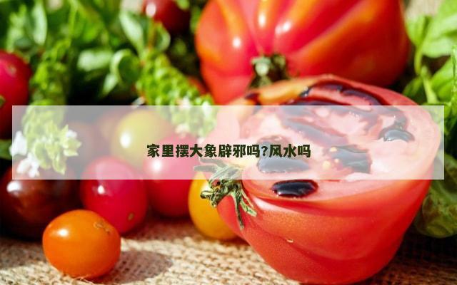 家里摆大象辟邪吗?风水吗