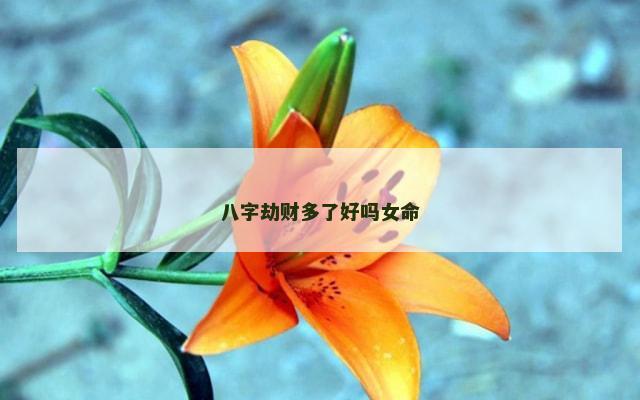 八字劫财多了好吗女命