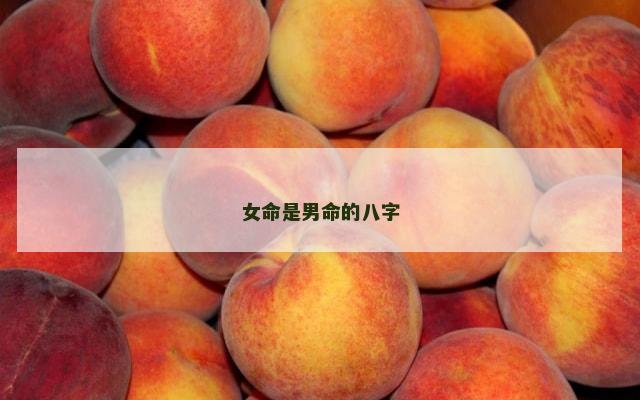 女命是男命的八字