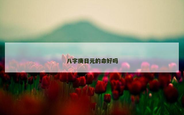 八字庚日元的命好吗