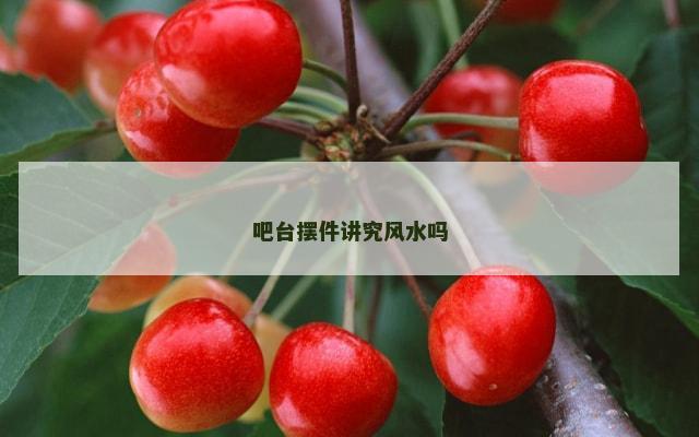 吧台摆件讲究风水吗