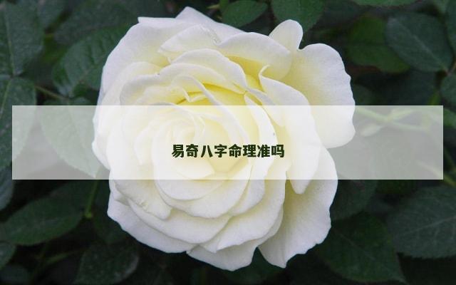 易奇八字命理准吗