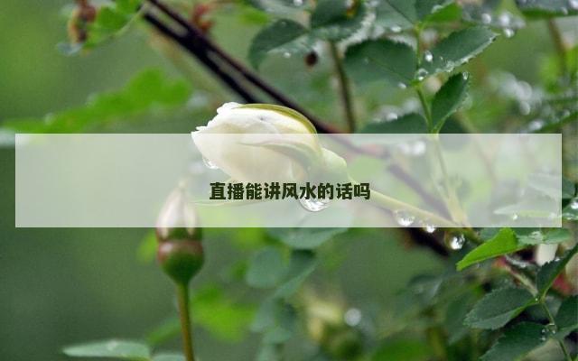 直播能讲风水的话吗