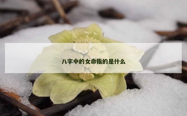 八字中的女命指的是什么