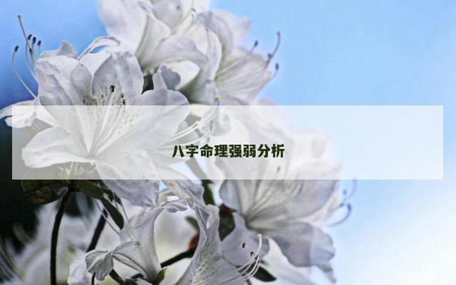八字命理强弱分析