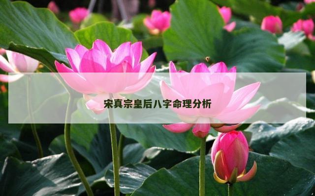 宋真宗皇后八字命理分析