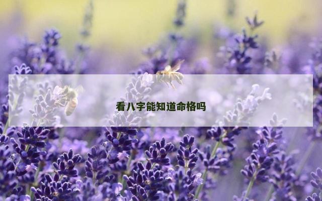 看八字能知道命格吗