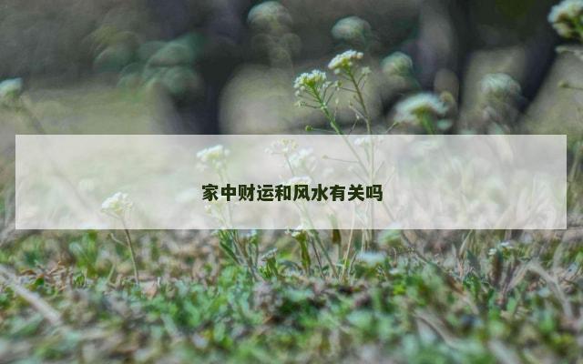 家中财运和风水有关吗