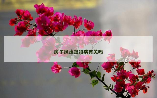 房子风水跟犯病有关吗