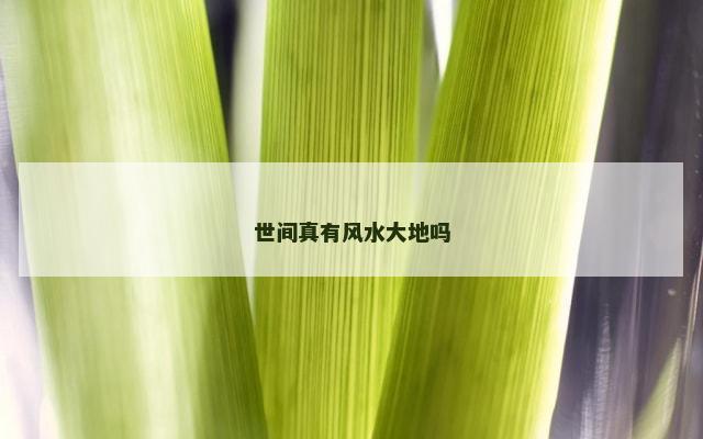 世间真有风水大地吗