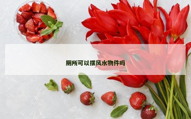 厕所可以摆风水物件吗
