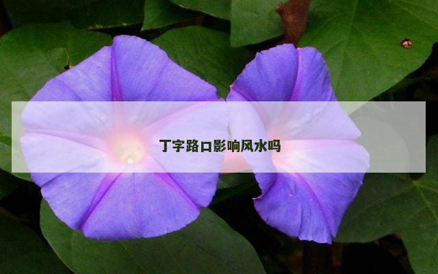 丁字路口影响风水吗