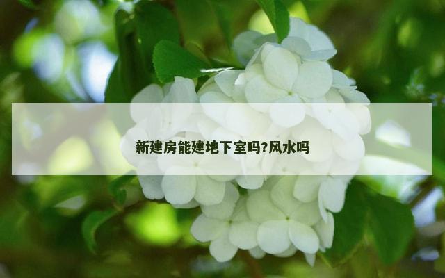 新建房能建地下室吗?风水吗