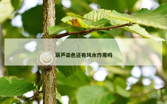 葫芦染色还有风水作用吗