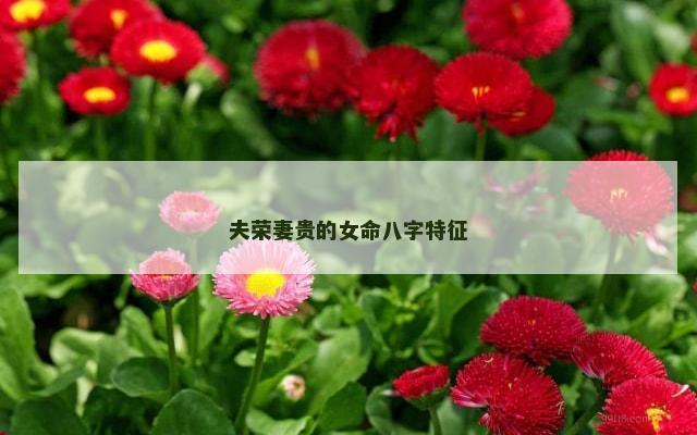 夫荣妻贵的女命八字特征