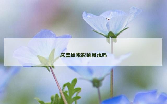 床盖蚊帐影响风水吗