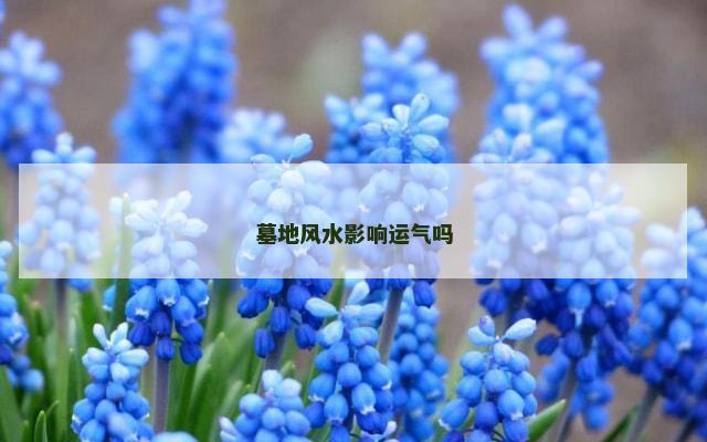 墓地风水影响运气吗