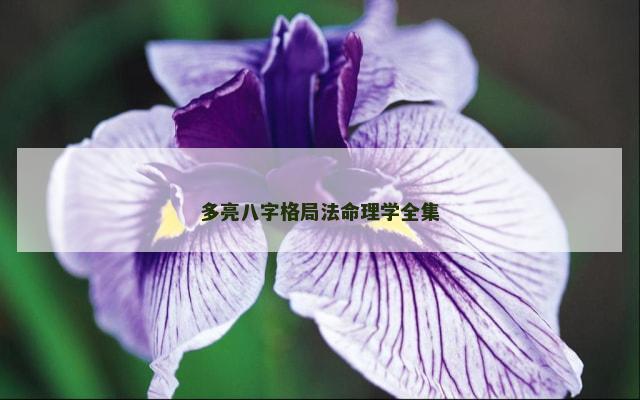多亮八字格局法命理学全集