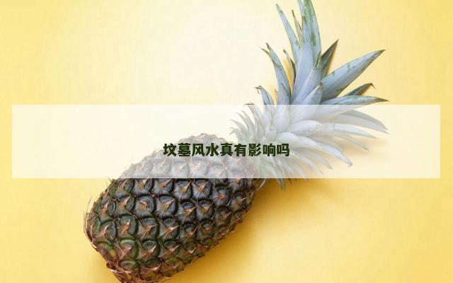 坟墓风水真有影响吗