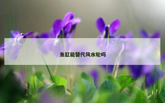 鱼缸能替代风水轮吗