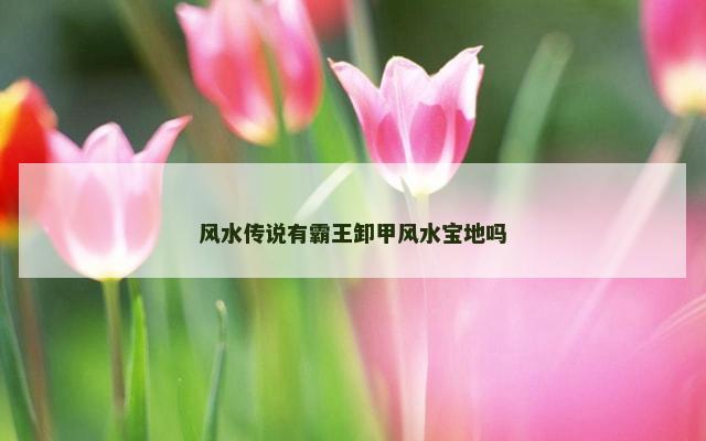 风水传说有霸王卸甲风水宝地吗