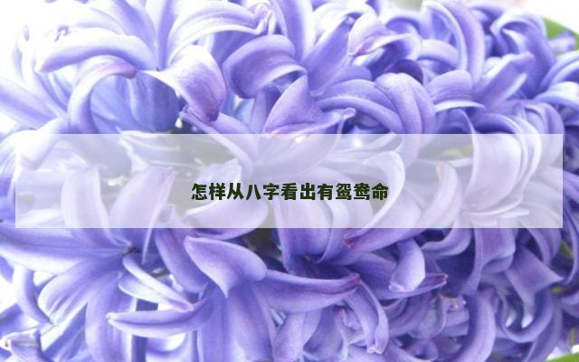 怎样从八字看出有鸳鸯命