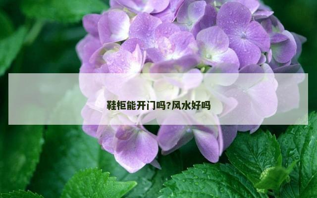 鞋柜能开门吗?风水好吗