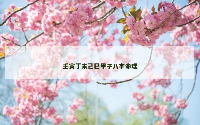 壬寅丁未己巳甲子八字命理