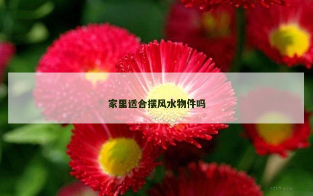 家里适合摆风水物件吗