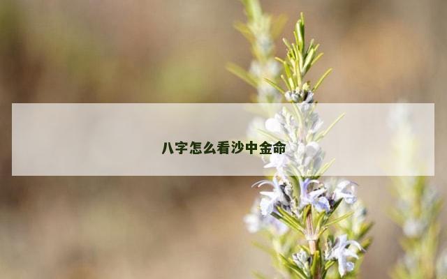 八字怎么看沙中金命