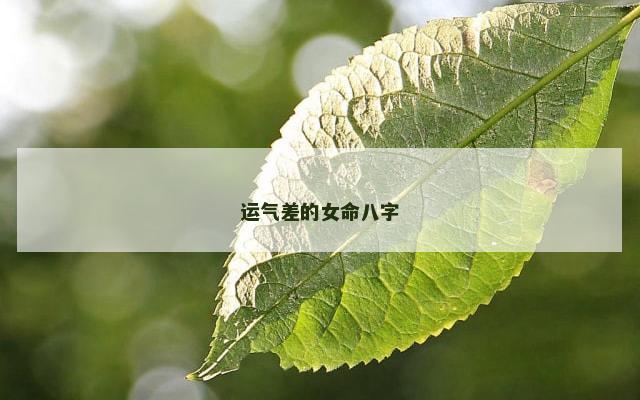 运气差的女命八字