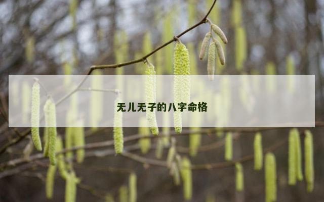 无儿无子的八字命格