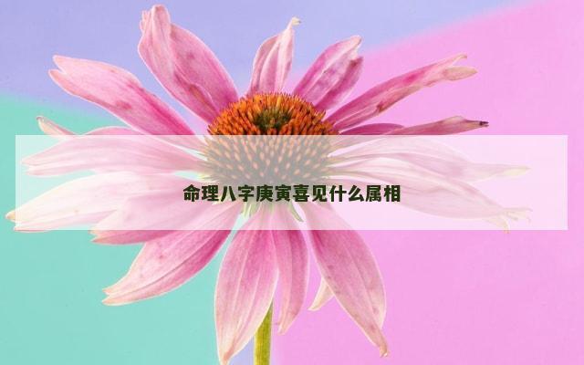 命理八字庚寅喜见什么属相