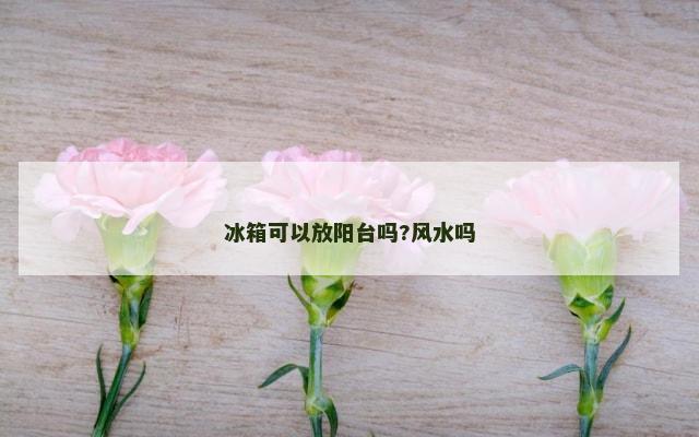 冰箱可以放阳台吗?风水吗