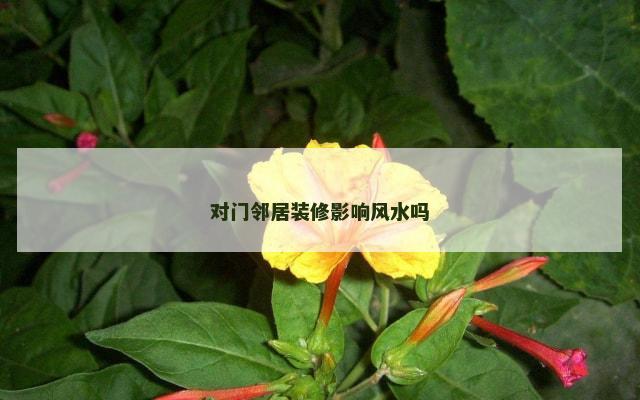 对门邻居装修影响风水吗