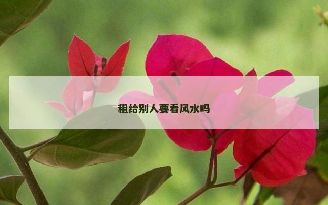租给别人要看风水吗