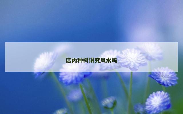 店内种树讲究风水吗