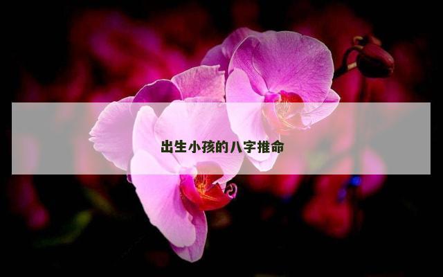 出生小孩的八字推命