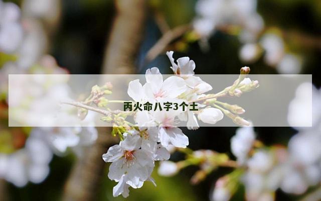 丙火命八字3个土
