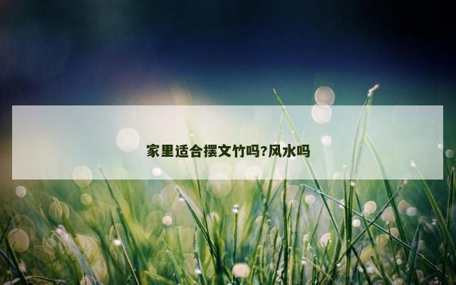 家里适合摆文竹吗?风水吗