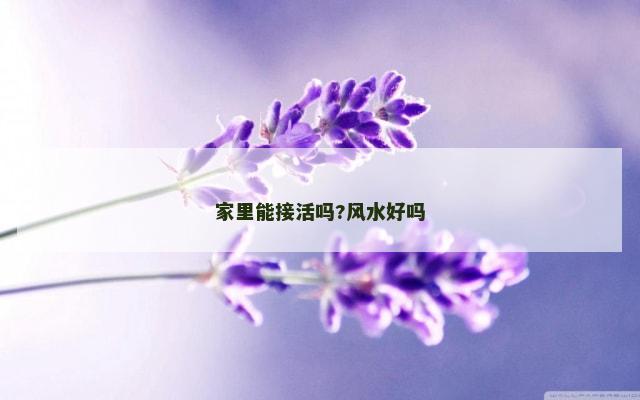 家里能接活吗?风水好吗