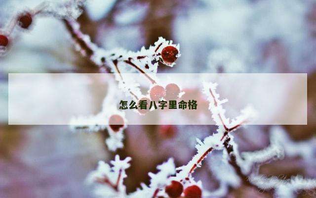 怎么看八字里命格