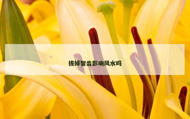 拔掉智齿影响风水吗