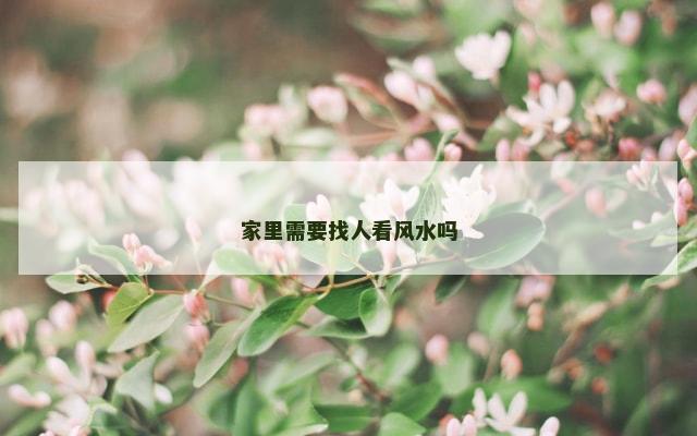 家里需要找人看风水吗