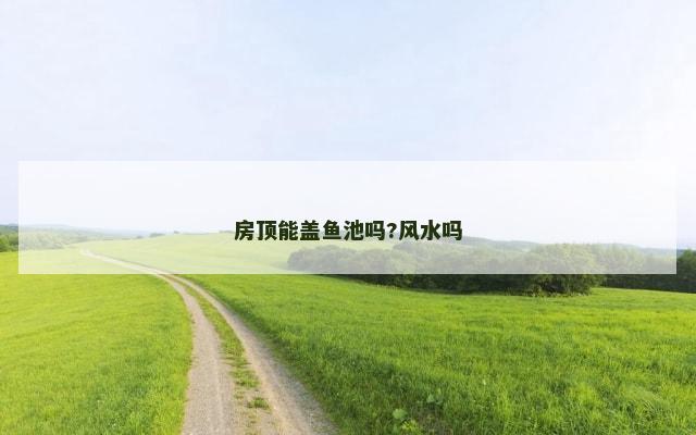 房顶能盖鱼池吗?风水吗